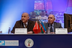 V. ŞAHİN (Azerbaycan Toplantısı) - 339